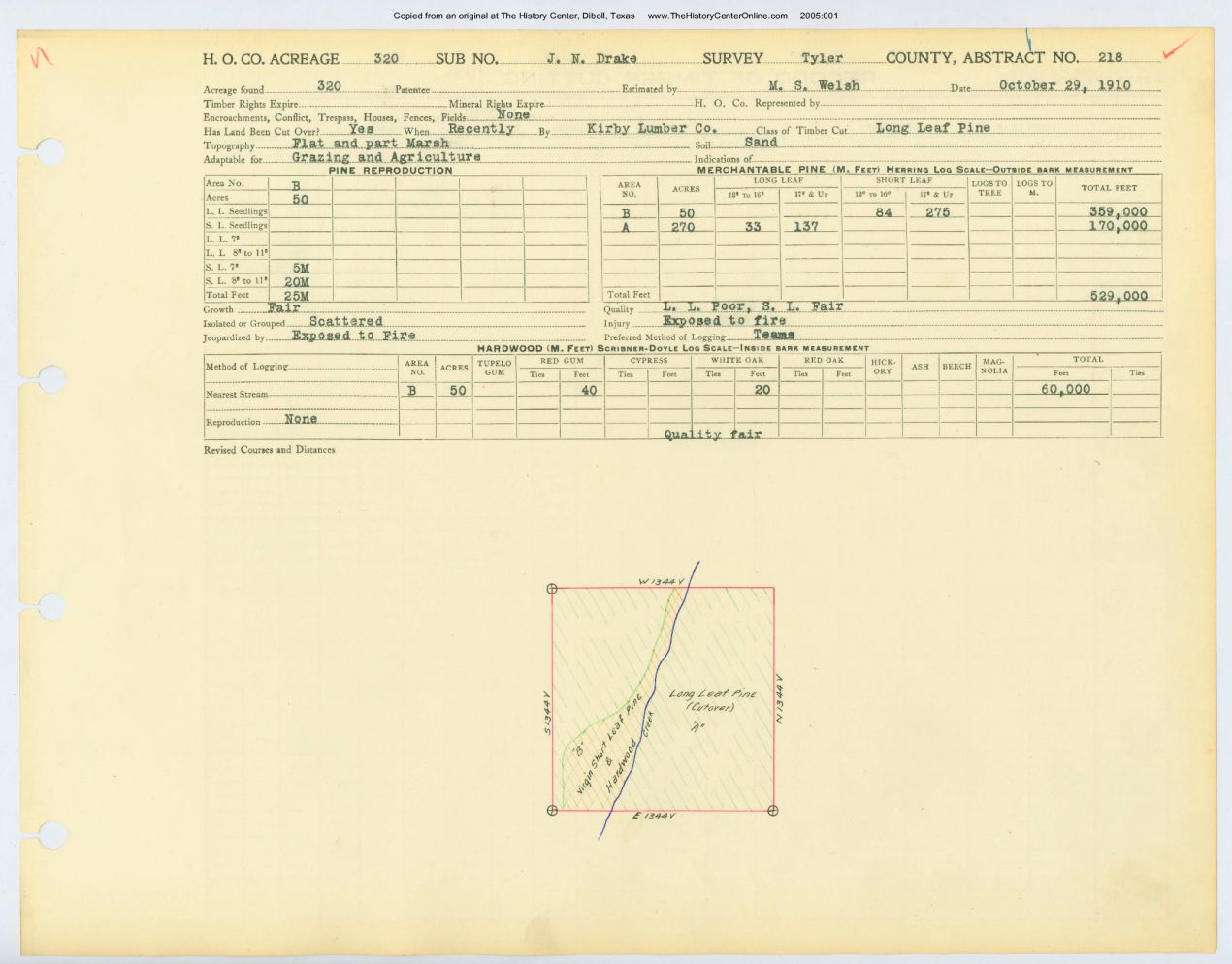 0060 Abstract 218, Drake Survey, Tyler County