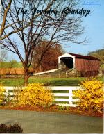 Foundry Roundup 1961 02