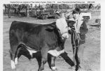 Students Melvin Linton Brahman Steer