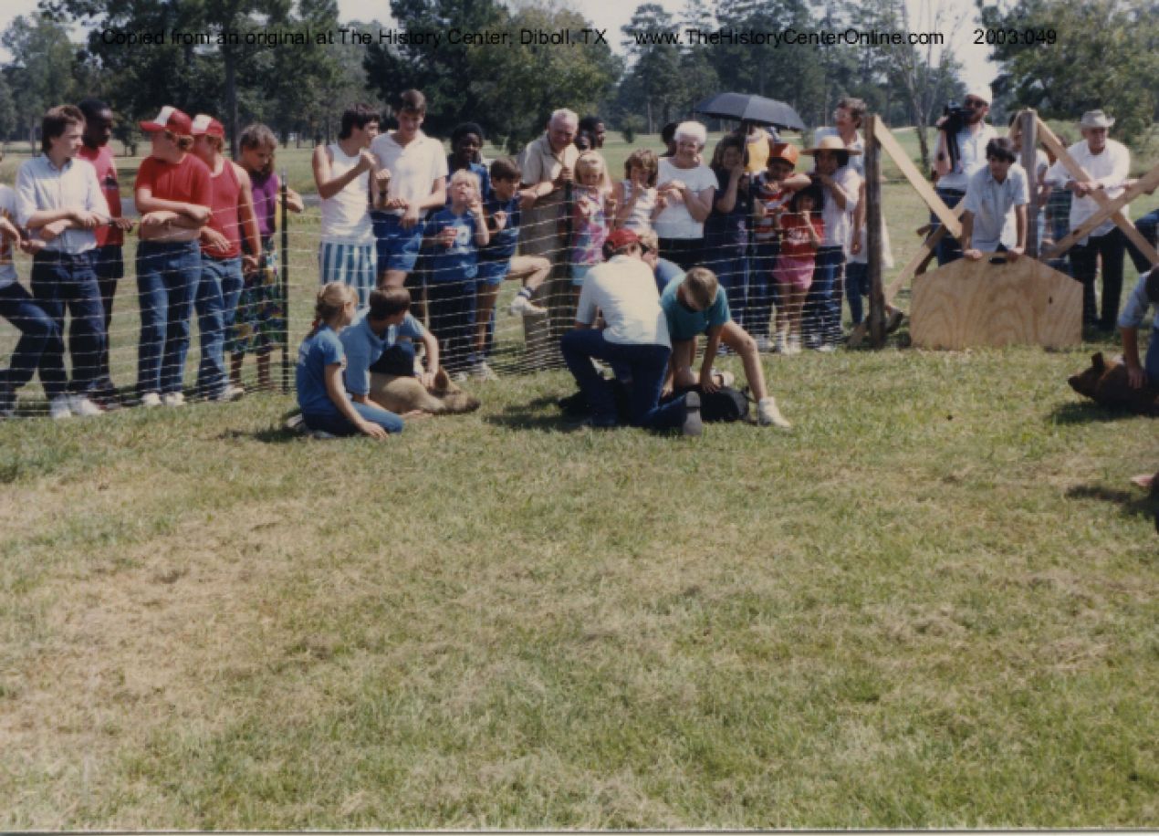 Diboll Day Students Pig Chase