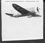 025_Ilene_Cornick_P47_In_Flight