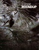 Foundry Roundup 1980 01