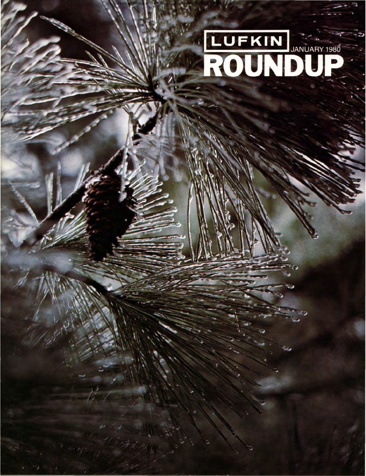 Foundry Roundup 1980 01