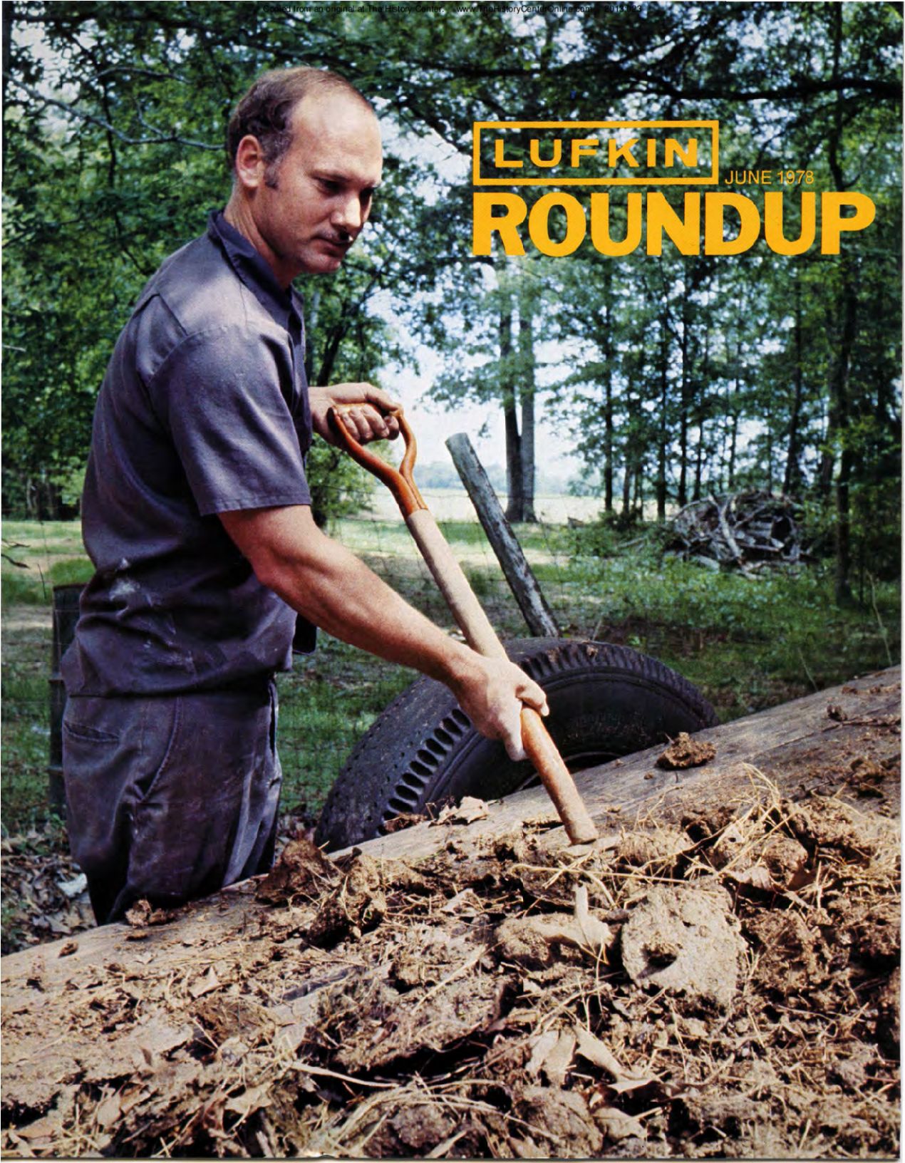 Foundry Roundup 1978 06