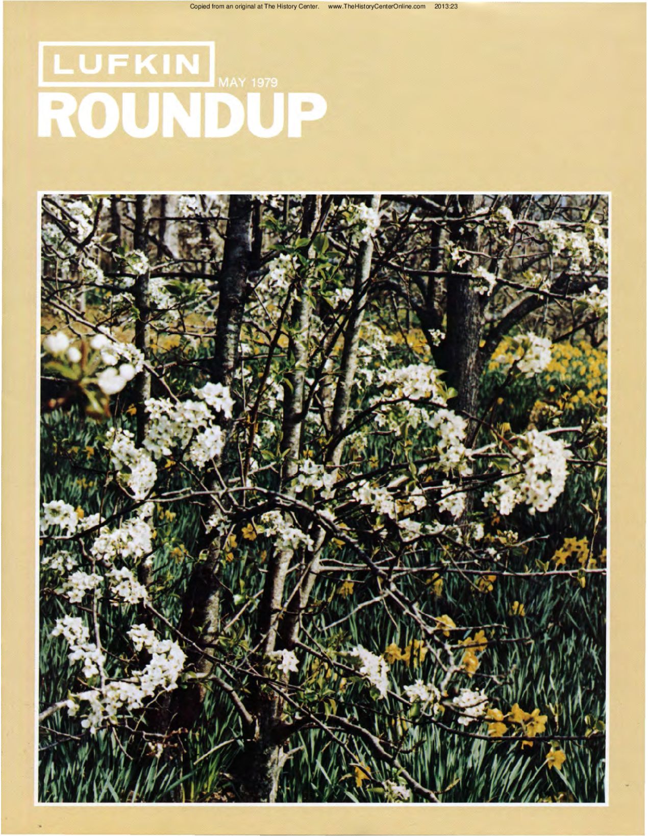 Foundry Roundup 1979 05