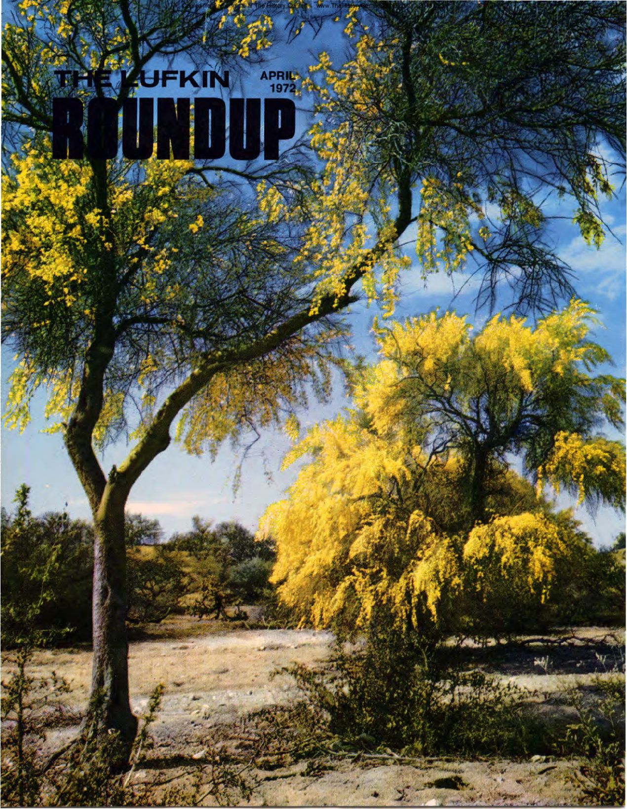 Foundry Roundup 1972 04