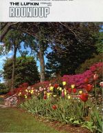 Foundry Roundup 1973 02