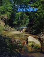 Foundry Roundup 1982 07