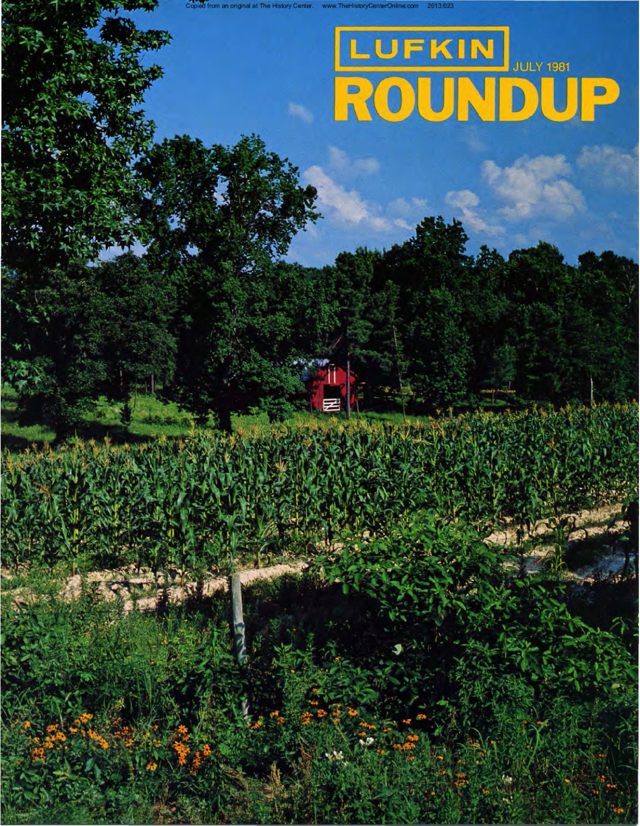 Foundry Roundup 1981 07