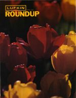 Foundry Roundup 1981 04