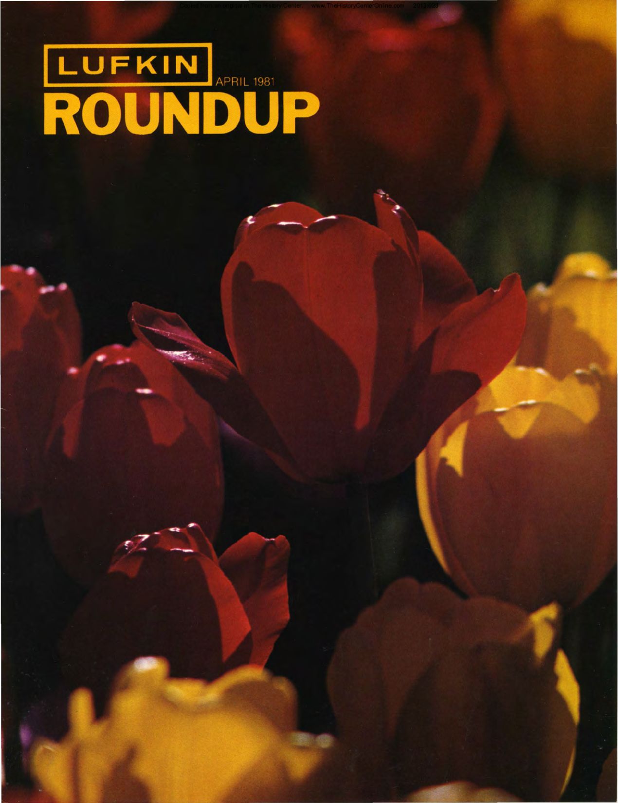 Foundry Roundup 1981 04