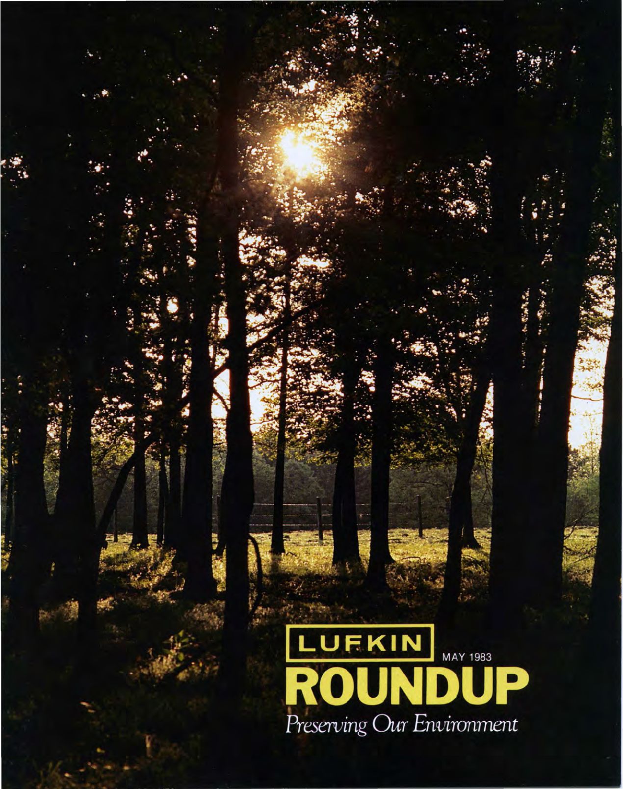 Foundry Roundup 1983 05