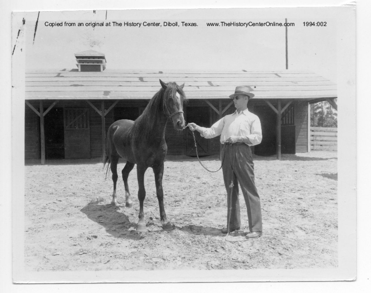05_149b_Arthur_with_horse