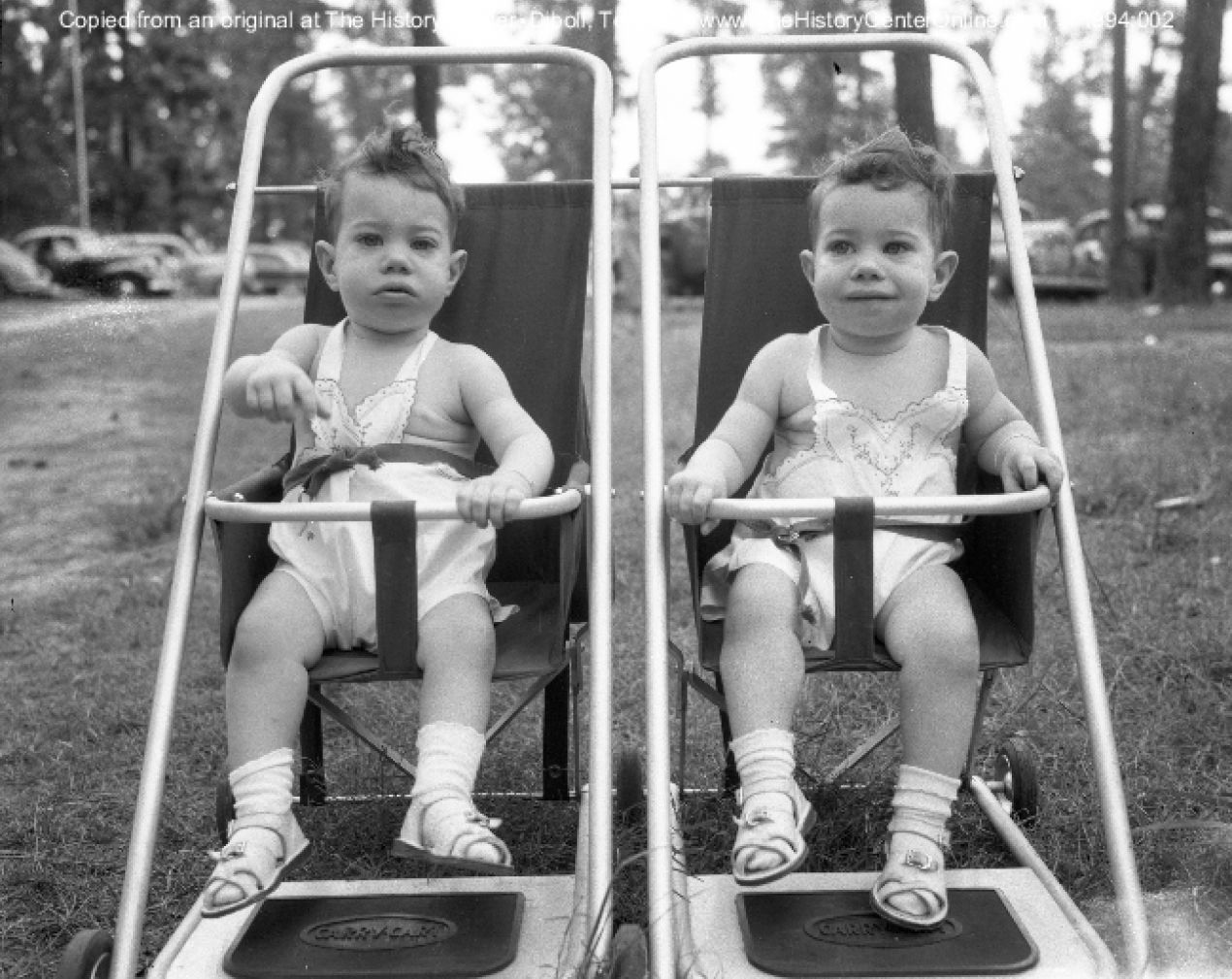 06 031b July 4 Barbeque Twins