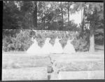 06 057d 1962 Queen and Court Wave