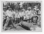 06 020d Crosscut Contest