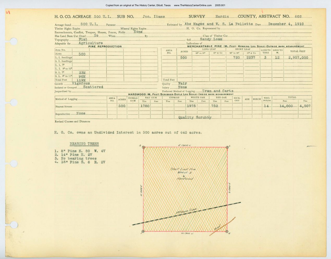 0178 Abstract 602, Iiams Survey, front and back, Hardin County