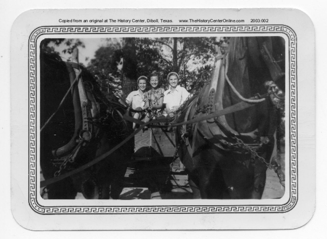 114 Horse Draw Wagon 1949