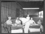 06 130b Pineland Day Plant Tours