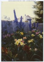 1966, Bauer Garden, July 18