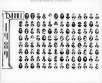 1989, Senior Class, Diboll High School