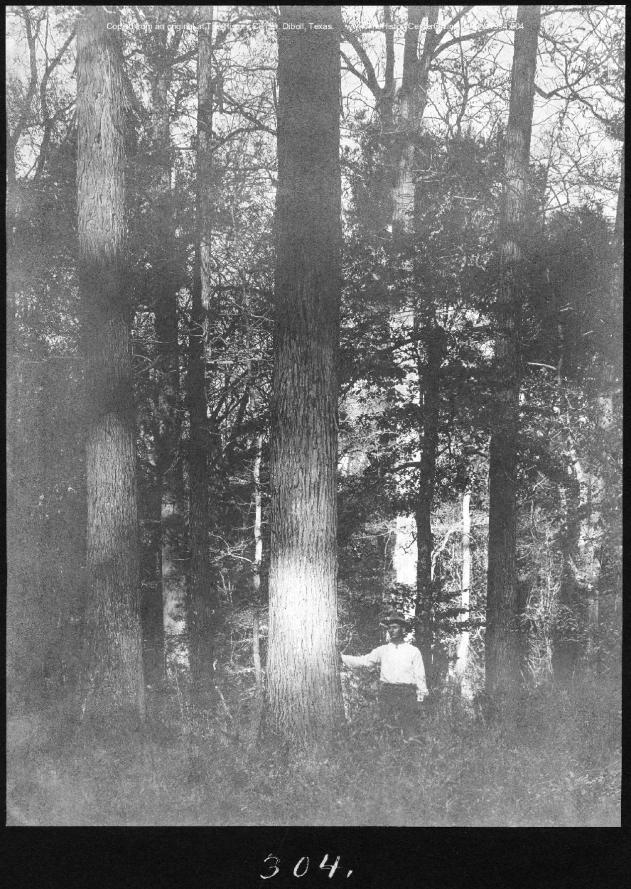 0153 american lumberman sp304 1907