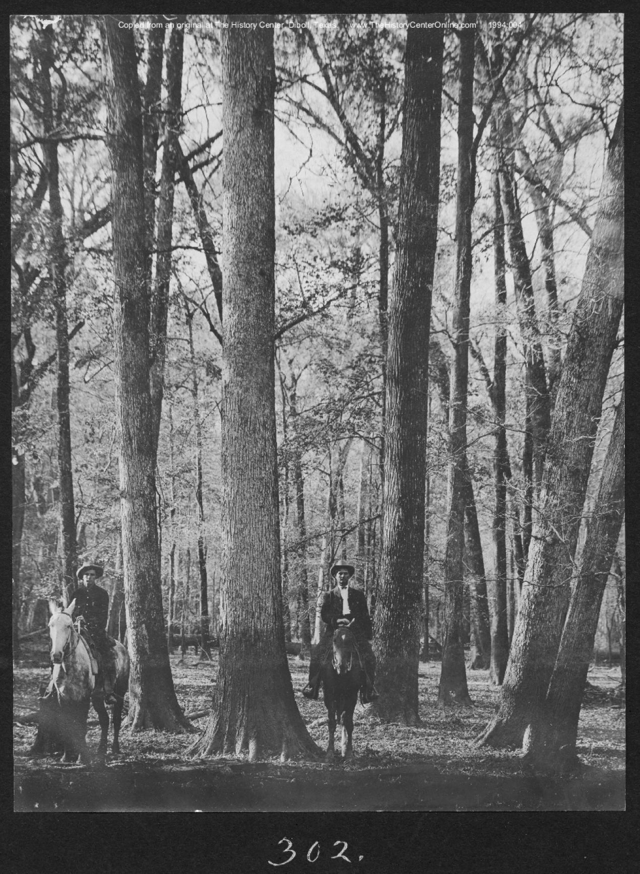 0149 american lumberman sp302 1907