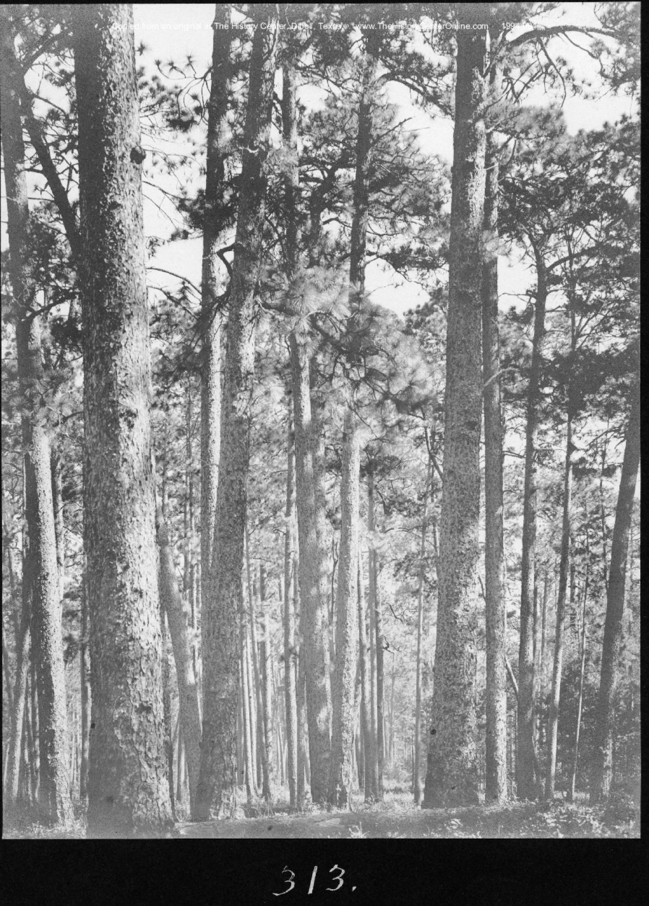 0168 american lumberman sp313 1907