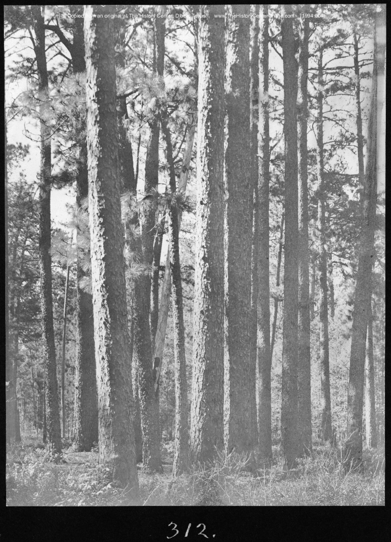 0167 american lumberman sp312 1907