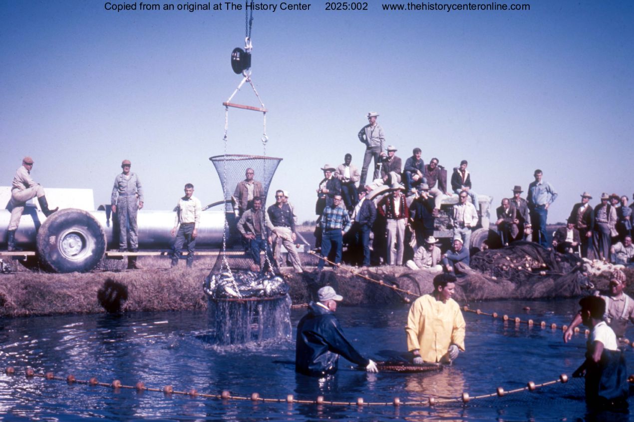 1968, Mechanized Catfish Harvesting Demonstration 01, Kole Farm, Winnie, Texas, November