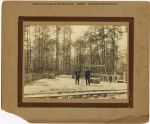 undated, Turpentine Camp in unknown location