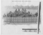 1944, Texas Tree Farms System Official Inauguration Stand, Texas Forest Conservation Day, Lufkin, Texas, October 24