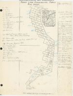 undated, Plot layout of the Forest Lake Experimental Forest, Tyler County, Texas, undated