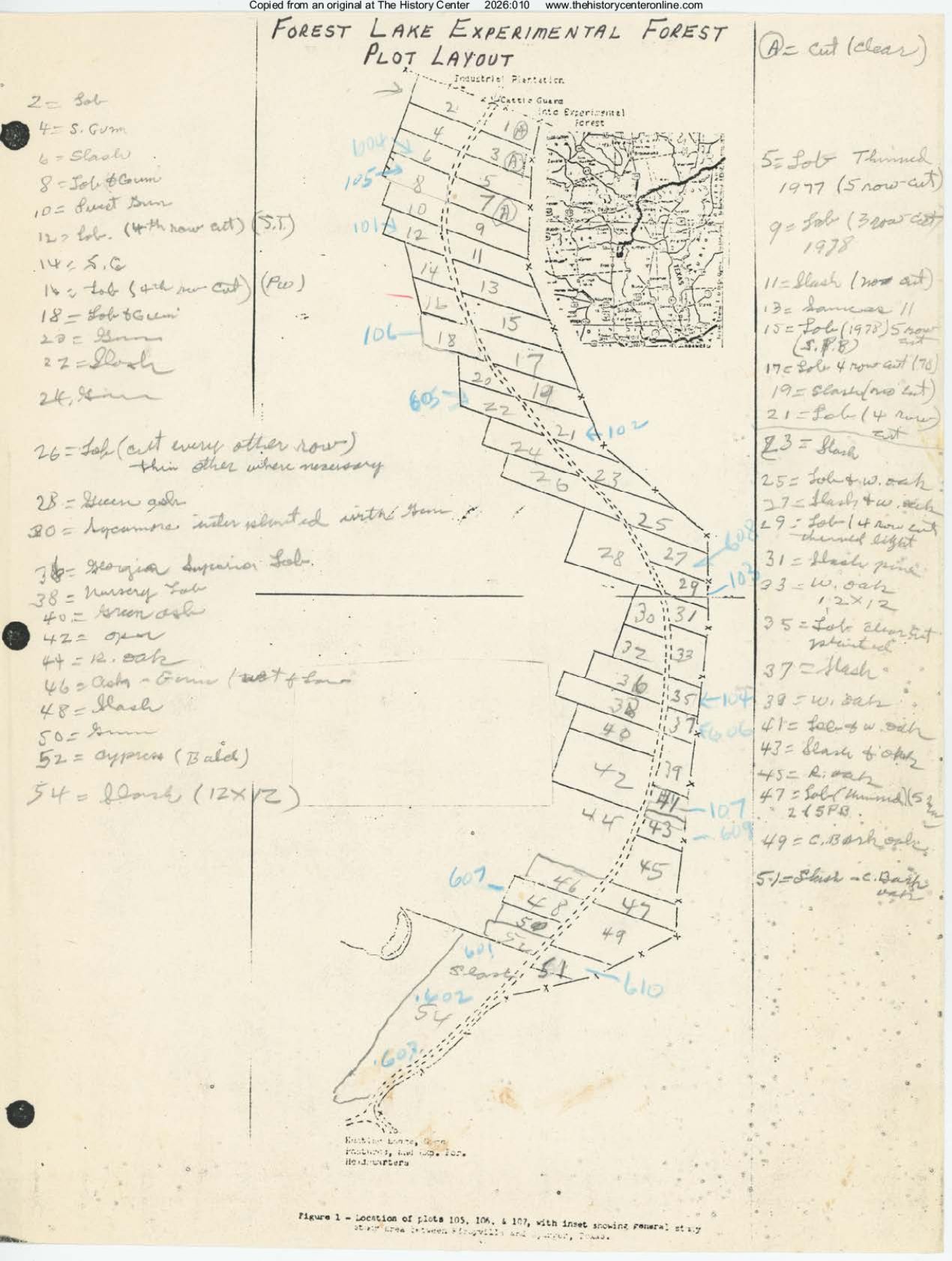 undated, Plot layout of the Forest Lake Experimental Forest, Tyler County, Texas, undated