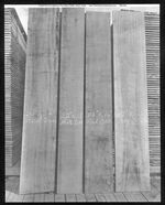 0201 american lumberman sp350 1907