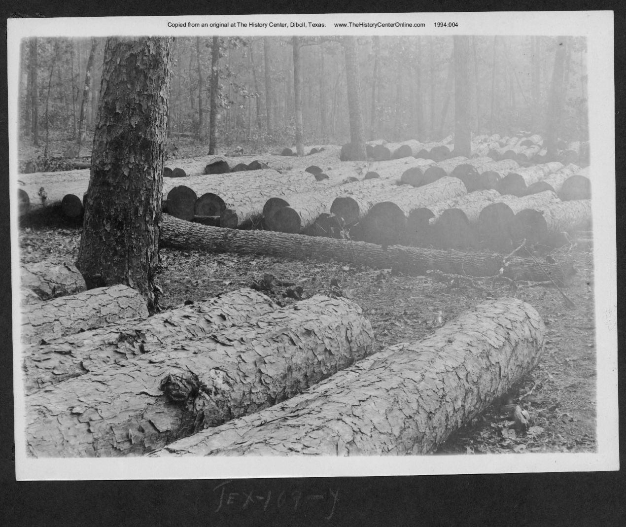 0058 american lumberman tex109 1903
