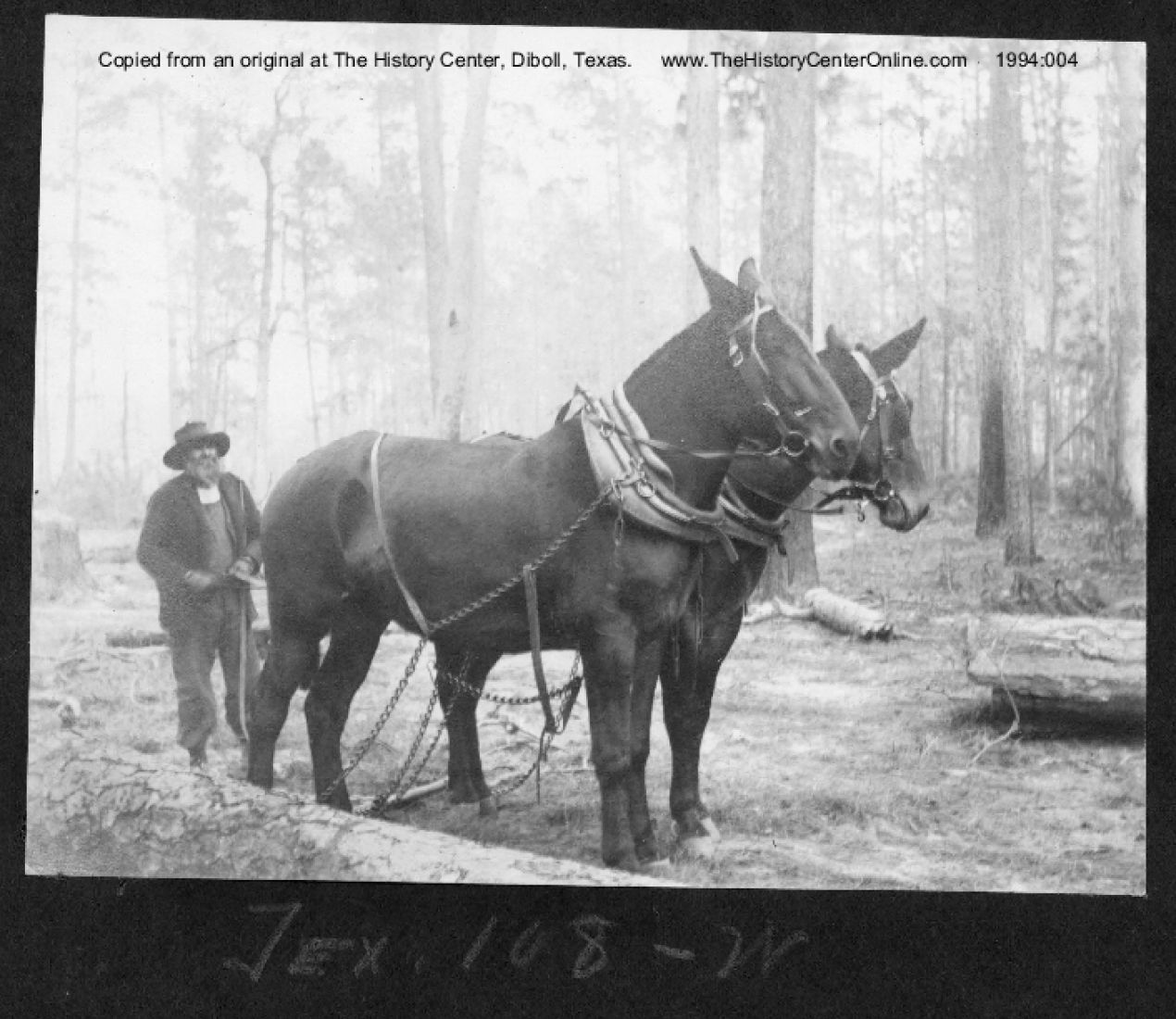 0057 american lumberman tex108 1903