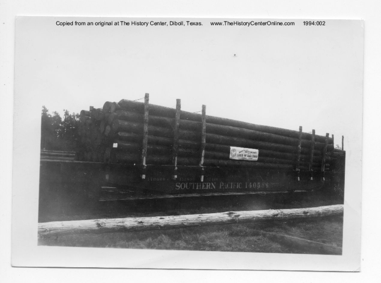 04_021d_Treated Poles