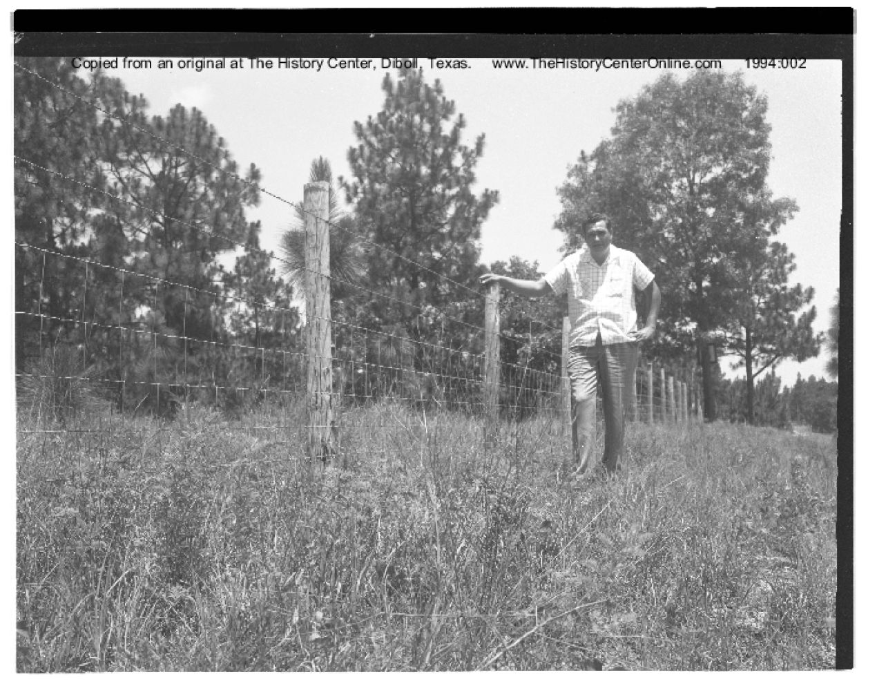02_015a_New_Fence