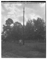 02_036d_Telephone_poles