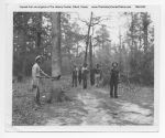 02_049b_Deading_Hardwood
