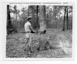 02_049a_Deadening_Hardwood