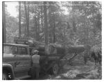 02_085a_Logging