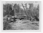 02_076b_Logging_Mules