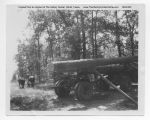 02_076a_Logging_mules