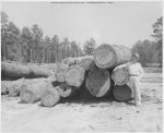 02_074b_Logs