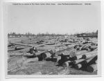 02_073b_Logs