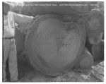 02_072b_Log_1881_Feet