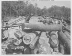 02_068a_Logs_at_track