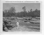 02_067a_Logs_at_track